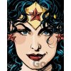 Zuty Wonder Woman prebal komiksu 40 x 50 cm vypnuté plátno na rám 8596530192978 Zuty Wonder Woman prebal komiksu 40 x 50 cm vypnuté plátno na rám 8596530192978