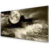 Obraz na akrylátovom skle Noc mesiac príroda 100x50 cm Obraz na akrylátovom skle Noc mesiac príroda 100x50 cm