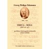 Telemann Georg Philipp: Trio g - moll (TWV 42:g7) Telemann Georg Philipp: Trio g - moll (TWV 42:g7)