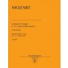 Sonata in A major: with Turkish March (Wolfgang Amadeus Mozart,Victor Shevtsov)(Brožovaná) Sonata in A major: with Turkish March (Wolfgang Amadeus Mozart,Victor Shevtsov)(Brožovaná)
