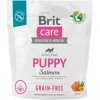Brit Care Grain-free Puppy Salmon 1 kg Brit Care Grain-free Puppy Salmon 1 kg