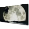 Obraz na plátne Noc mesiac palma krajina 100x50 cm Obraz na plátne Noc mesiac palma krajina 100x50 cm