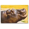 Vymalujsisam.sk Diamantovanie podľa čísiel - Safari - Hroch Veľkosť: 40x60cm, Rám: Na kartónovej doske, Diamanty: Okrúhle Vymalujsisam.sk Diamantovanie podľa čísiel - Safari - Hroch Veľkosť: 40x60cm, Rám: Na kartónovej doske, Diamanty: Okrúhle