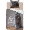 Detexpol Obliečky Mačka Love Bavlna 140x200 70x80 Detexpol Obliečky Mačka Love Bavlna 140x200 70x80