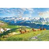 EUROGRAPHICS Puzzle Jeleni v horách 1000 dílků EUROGRAPHICS Puzzle Jeleni v horách 1000 dílků
