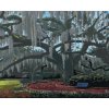Zuty – Maľovanie Podľa Čísel – Obrovský Strom V Parku, (Robert Johnson), 80 × 100 cm, Plátno + Rám 8596530122197 Zuty – Maľovanie Podľa Čísel – Obrovský Strom V Parku, (Robert Johnson), 80 × 100 cm, Plátno + Rám 8596530122197