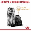 Royal Canin Yorkshire Terrier Adult 3 kg Royal Canin Yorkshire Terrier Adult 3 kg