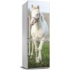 Foto tapeta na chladničku Kôň albín 60x180 cm Foto tapeta na chladničku Kôň albín 60x180 cm