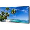 Foto obraz na plátne Tropická pláž 100x50 cm Foto obraz na plátne Tropická pláž 100x50 cm