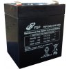 FSP 12V 4.5Ah MPF0003700GP FSP 12V 4.5Ah MPF0003700GP