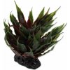 Repti Planet Agave zelená 18 cm Repti Planet Agave zelená 18 cm