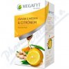 Megafyt Ovocný Zázvor s medom a citrónom 20 x 2 g Megafyt Ovocný Zázvor s medom a citrónom 20 x 2 g
