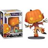 Funko Pop! Disney Nightmare Before Christmas Pumpkin King 30th Scented Special Edition Funko Pop! Disney Nightmare Before Christmas Pumpkin King 30th Scented Special Edition