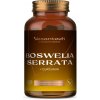 Vesantech Boswelia serrata 120 kapsúl