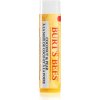 Burt’s Bees Lip Care hydratačný balzam na pery (with Coconut & Pear) 4.25 g Burt’s Bees Lip Care hydratačný balzam na pery (with Coconut & Pear) 4.25 g
