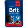 Brit Premium Cat kapsička with Beef Stew & Peas 100g Brit Premium Cat kapsička with Beef Stew & Peas 100g