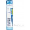 Magnesia Carbonica gra.1 x 4 g 9CH
