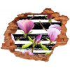 Nálepka 3D diera na stenu Magnolia bary 90x70 cm Nálepka 3D diera na stenu Magnolia bary 90x70 cm