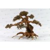 Aqua bonsai M Aqua bonsai M