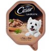 Cesar Adult Dog Landküche morčacie a hovädzie 14 x 150 g Cesar Adult Dog Landküche morčacie a hovädzie 14 x 150 g