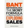 BANT Methodology BANT Methodology