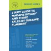 Study Guide to Madame Bovary and Three Tales by Gustave Flaubert (Intelligent Education)(Brožovaná) Study Guide to Madame Bovary and Three Tales by Gustave Flaubert (Intelligent Education)(Brožovaná)