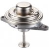 AGR - Ventil MAGNETI MARELLI EV131