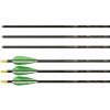 Easton Sada 6ks hliníkových šípů Easton Genesis NASP 1820 Black 30 Easton Sada 6ks hliníkových šípů Easton Genesis NASP 1820 Black 30