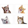 IMPOL TRADE SPSC 13064 SK1 Samolepky na stenu selfie mačky, rozmer 45 x 65 cm