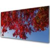 Obraz plexi Strom listy vetvy príroda 100x50 cm Obraz plexi Strom listy vetvy príroda 100x50 cm