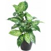 Umelá rastlina Difenbachie 28 listov, 70 cm Umelá rastlina Difenbachie 28 listov, 70 cm