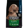 Farmina CIBAU dog puppy maxi 2,5 kg Farmina CIBAU dog puppy maxi 2,5 kg