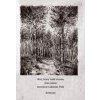 Muž, ktorý sadil stromy - Jean Giono Muž, ktorý sadil stromy - Jean Giono