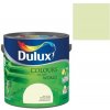 Dulux Colours Of The World, akaciové puky 2,5 l, akaciové puky Dulux Colours Of The World, akaciové puky 2,5 l, akaciové puky