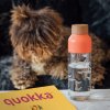 QUOKKA Ice Plastová fľaša BIRDS 720 ml