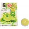 Admit Tea Lights Lime 6 ks Admit Tea Lights Lime 6 ks