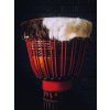 Petrovič Drums Djembe Mahagony Professional XL