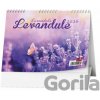 Levandule stolní 2026 Levandule stolní 2026