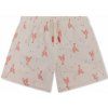 Swim Essentials Plavecké šortky s UPF + Little Lobster