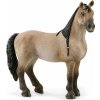SCHLEICH Horse Club® 13948 Criollo Definitivo - klisna SCHLEICH Horse Club® 13948 Criollo Definitivo - klisna