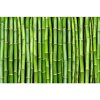 DIMEX | Vliesové fototapety na stenu Bambus MS-5-0165 | 375 x 250 cm | zelená + Vliesová fototapeta na stenu DIMEX Bambus MS50165 v rozmere 375 x 250 cm DIMEX | Vliesové fototapety na stenu Bambus MS-5-0165 | 375 x 250 cm | zelená + Vliesová fototapeta na stenu DIMEX Bambus MS50165 v rozmere 375 x 250 cm