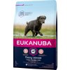 Eukanuba Caring Senior Large Breed s kuřecím masem 2 x 15 kg