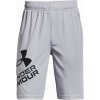 Under Armour UA Prototype 2.0 Logo shorts 1361817 Under Armour UA Prototype 2.0 Logo shorts 1361817