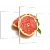 Grapefruit - obraz (Obraz 90x60cm) Grapefruit - obraz (Obraz 90x60cm)