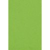 Amscan Obrus zelený 137 x 274 cm Amscan Obrus zelený 137 x 274 cm