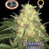 Big Buddha Seeds - Legends Gold 5 ks - semená neobsahujú THC Big Buddha Seeds - Legends Gold 5 ks - semená neobsahujú THC