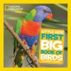 Little Kids First Big Book of Birds (National Geographic)(Pevná) Little Kids First Big Book of Birds (National Geographic)(Pevná)