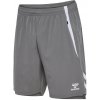 Hummel Lead 2.0 Woven Short 223765-2350