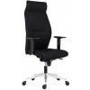 Kancelárske záťažové kreslo Lei 1824 SYN BN7 čierne + podrúčky Kancelárske záťažové kreslo Lei 1824 SYN BN7 čierne + podrúčky