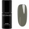 NEONAIL Unwritten Canvas gélový lak na nechty s použitím UV/LED lampy odtieň Evergreen Mood 7.2 ml NEONAIL Unwritten Canvas gélový lak na nechty s použitím UV/LED lampy odtieň Evergreen Mood 7.2 ml